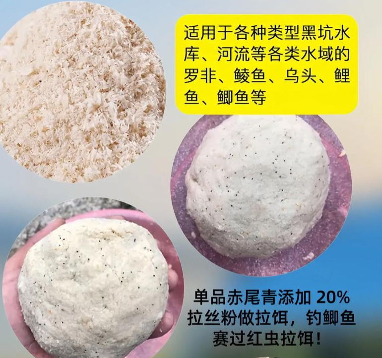 虾皮粉垂钓技巧：低成本高效诱鱼的秘密武器  