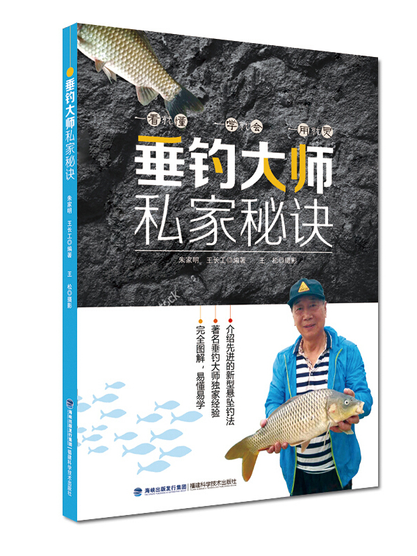 垂钓大师TXT：技巧心得与实战精华  