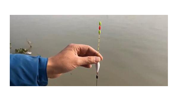 钓鱼大全：从入门到精通的终极指南