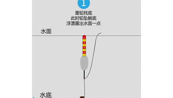 二十米线钓鱼技巧与实战经验分享