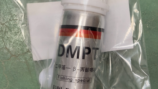 小药钓鱼黑坑实战技巧与避坑指南