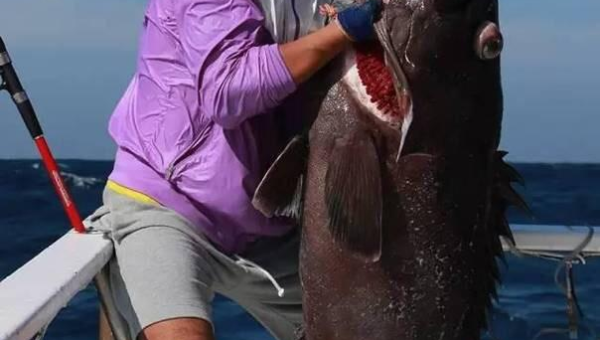 海钓达人实战分享：深海巨物上钩全记录