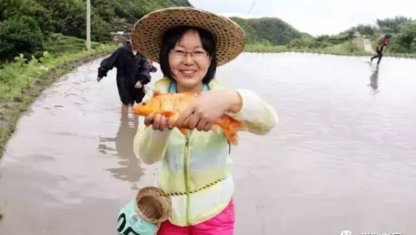 口碑农场垂钓记:一竿一线乐逍遥