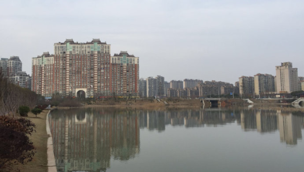 垂钓之乐：静心守候的智慧与收获