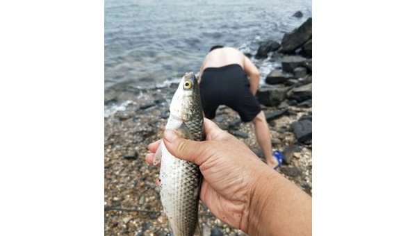 夏日河边垂钓记