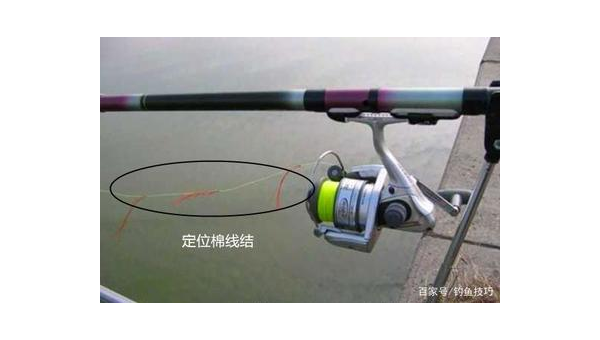手竿垂钓技巧与装备选择全攻略