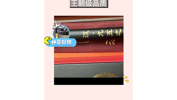 手竿带线轮垂钓技巧与装备选择指南