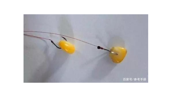 海竿垂钓技巧与实战经验全解析