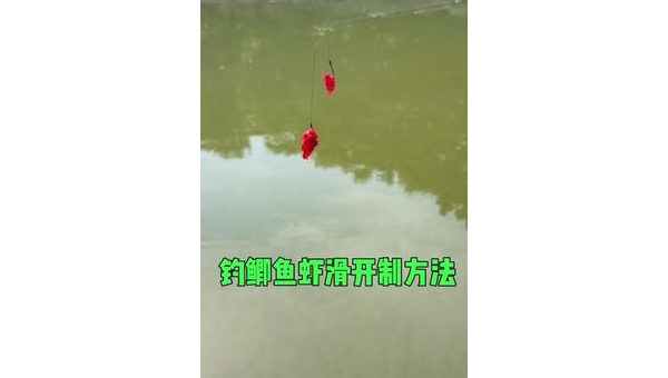 虾滑伴侣垂钓技巧与实战心得分享