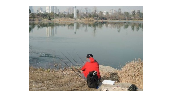 刷白条钓鱼技巧与实战经验分享